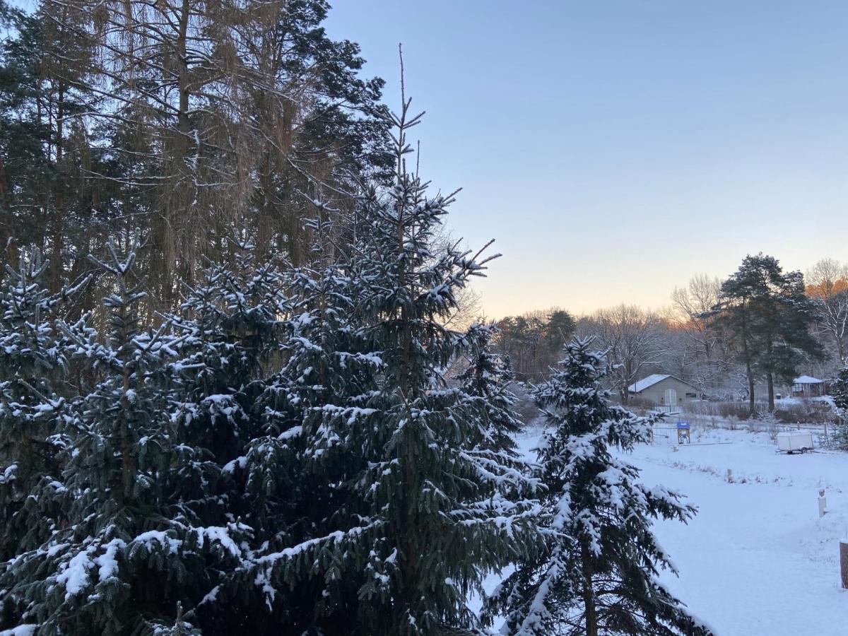 Waldwerk Wurlgrund