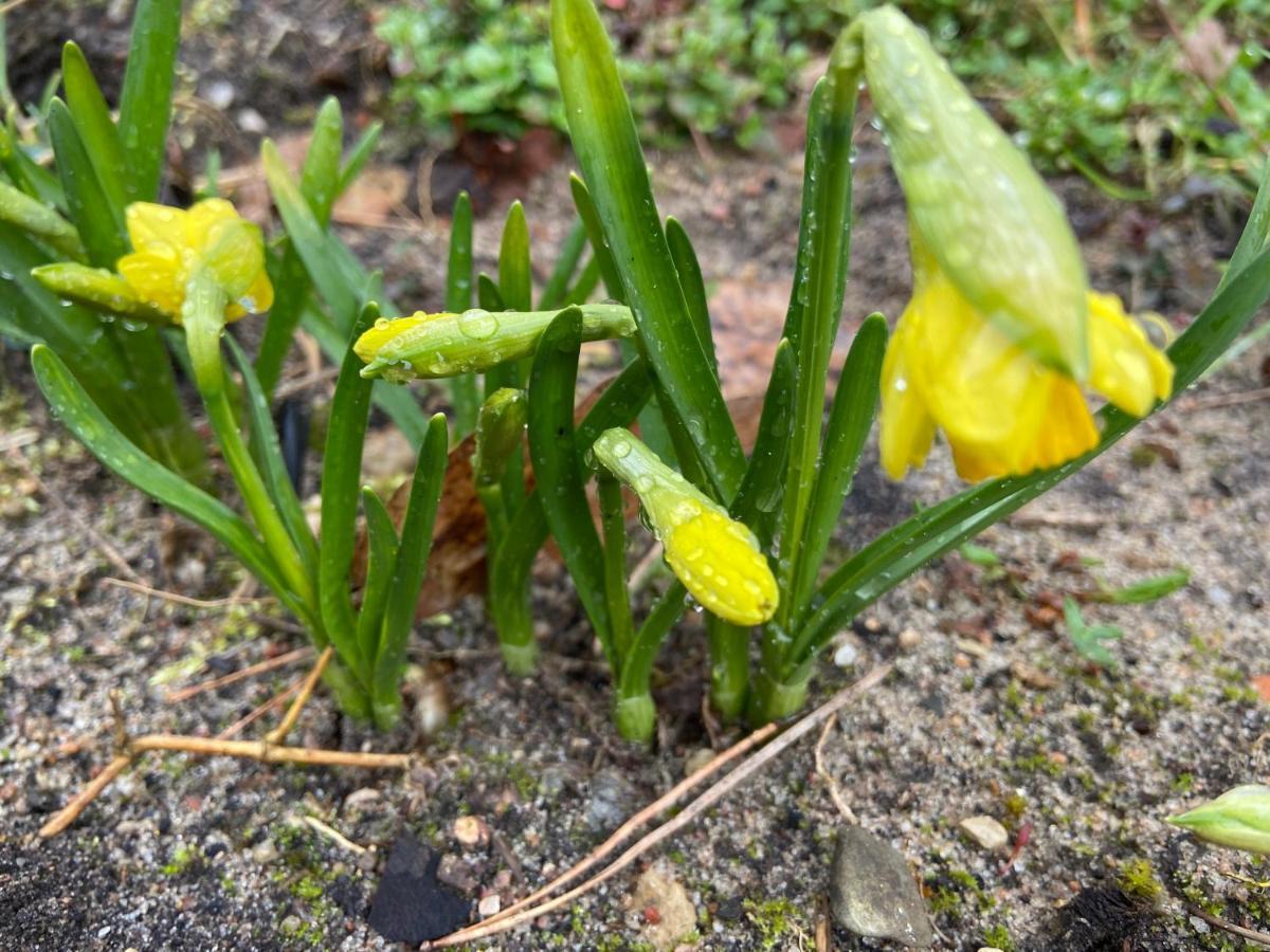 Waldwerk Wurlgrund