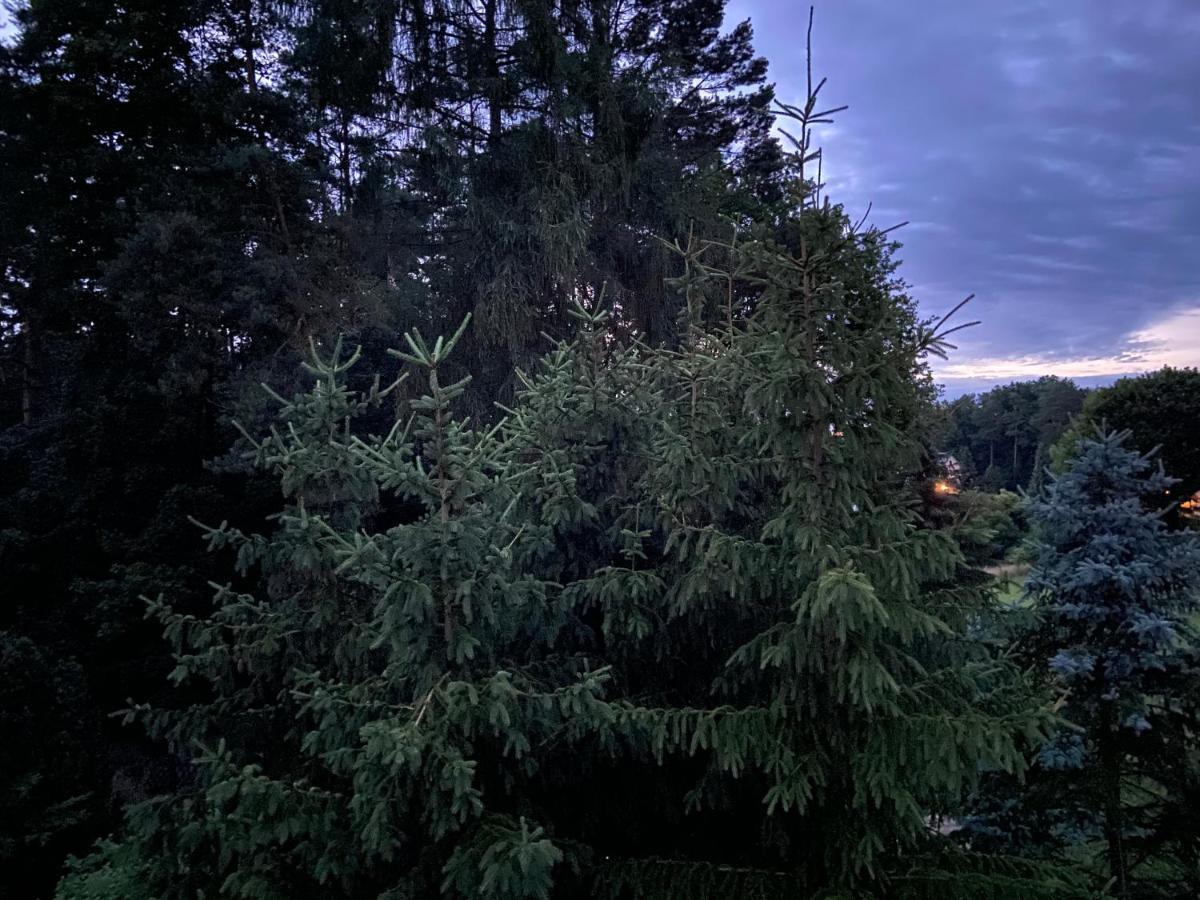 Waldwerk Wurlgrund Aparthotel